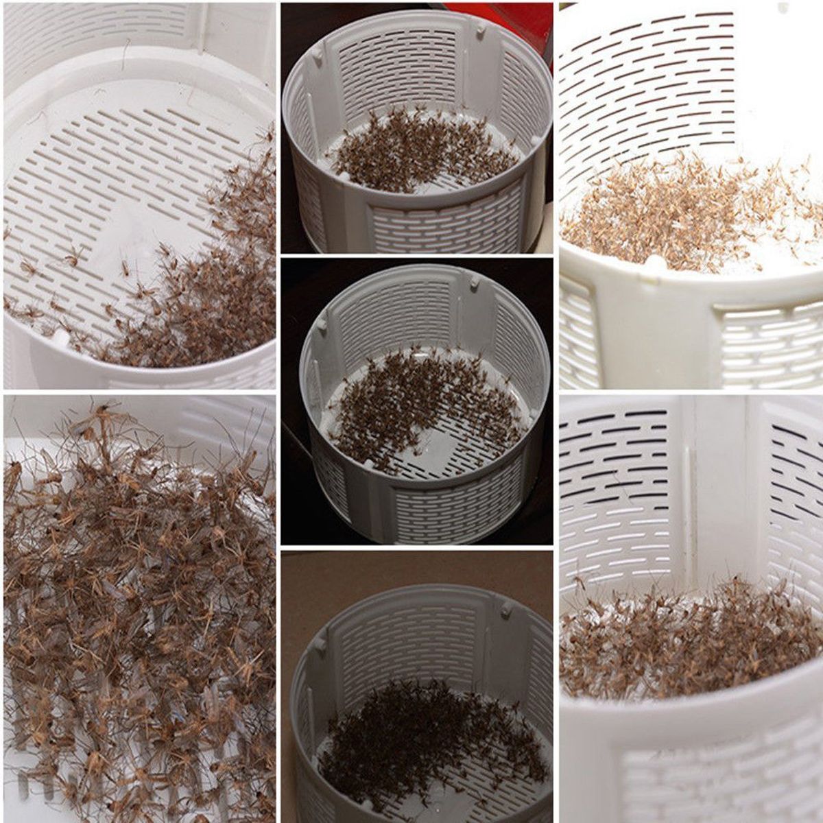 Muggenvanger met UV-Lamp