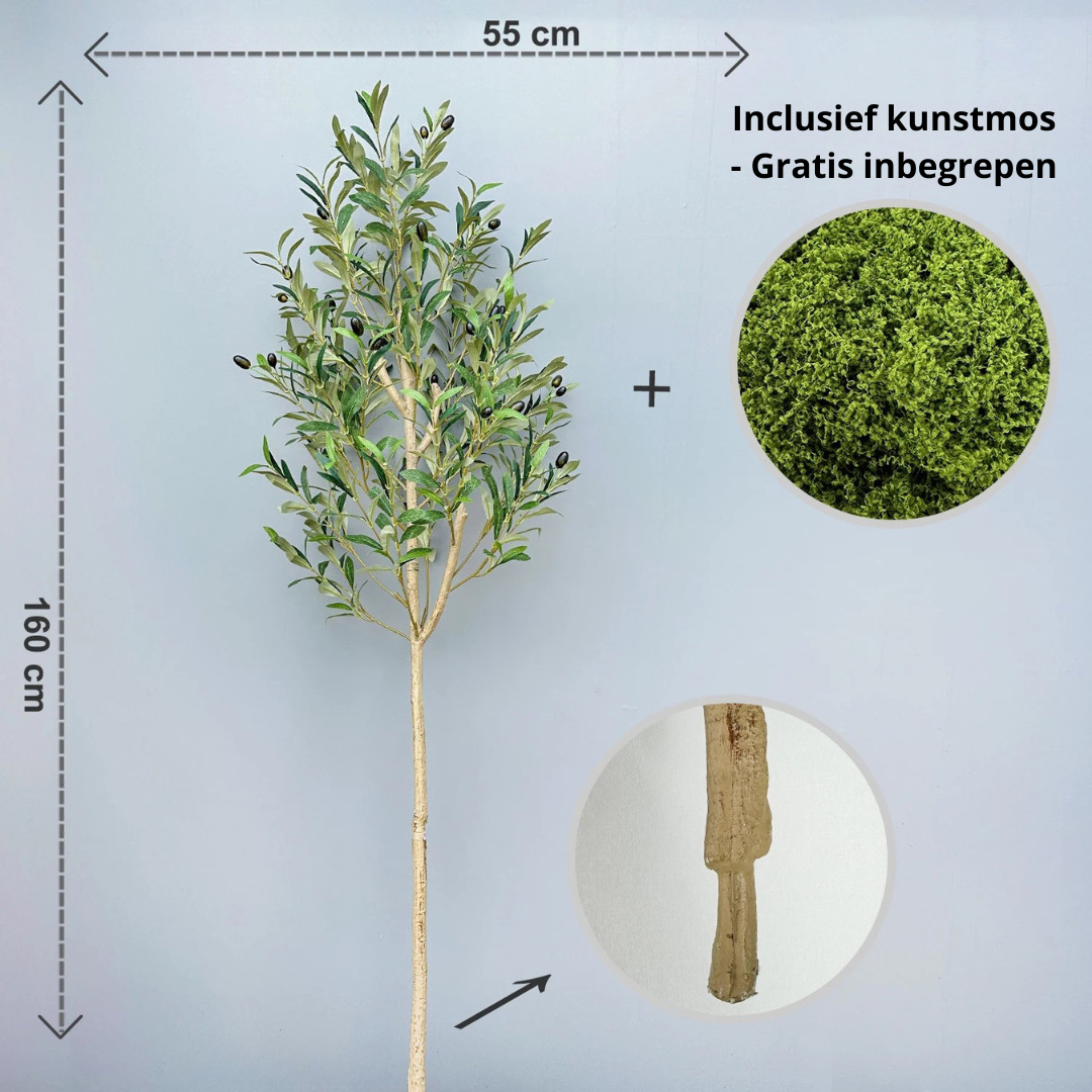 Kunst Olijfboom – Tijdloze Luxe Zonder Onderhoud