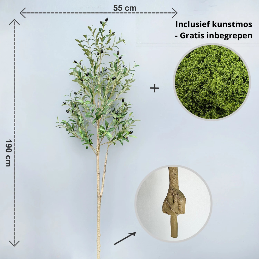 Kunst Olijfboom – Tijdloze Luxe Zonder Onderhoud