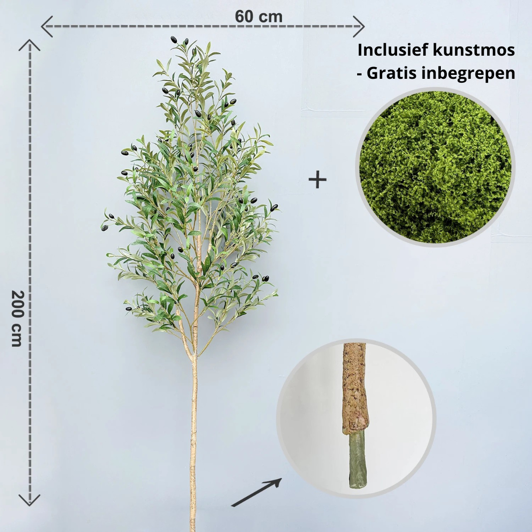 Kunst Olijfboom – Tijdloze Luxe Zonder Onderhoud